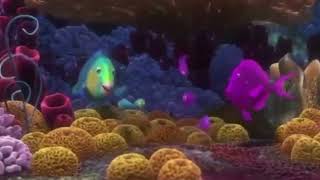 Sponge Beds KQ version