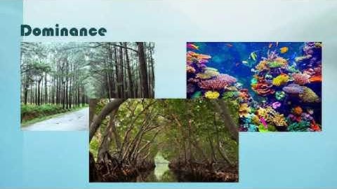Organization of Communities | Environmental Science