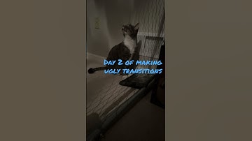 Day 2 of making ugly transitions#Shorts #Bad