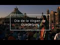 Video de Villa De Guadalupe