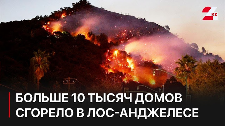 Больше 10 тысяч домов сгорело из-за лесных пожаров в Лос-Анджелесе