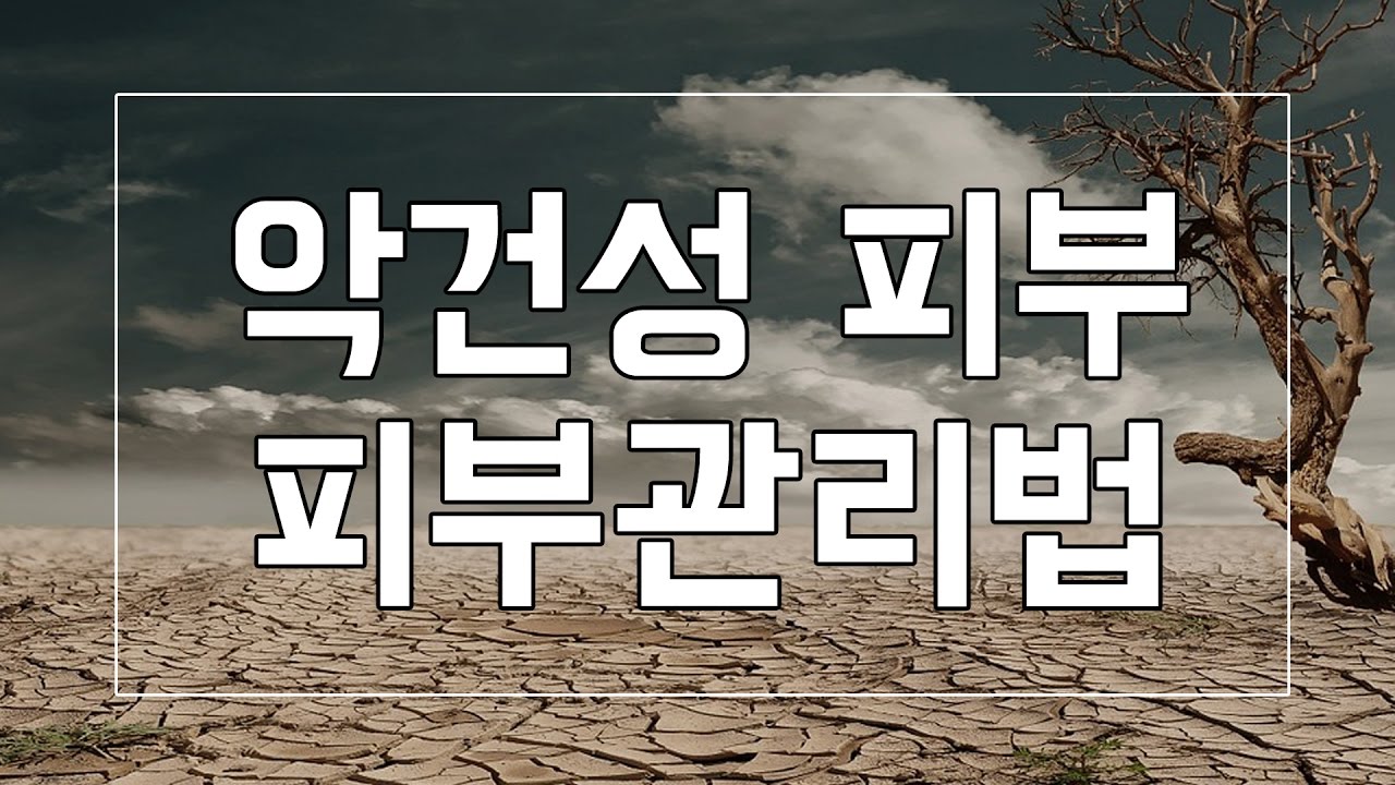 Enginakyurt, 처출 unsplash