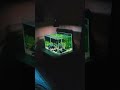 biotopes planted aquarium setup #aquarium #feeds