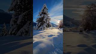 Soft winter afternoon 🇨🇭 🥰 magic📍 lac d'Hongrin  #nature #swissnature #travel #inlovewithswitzerland screenshot 2