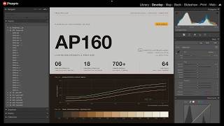 These Aren't Presets: DCP Camera Profiles for Lightroom Classic | RAW Series Portrait 160 inspired.