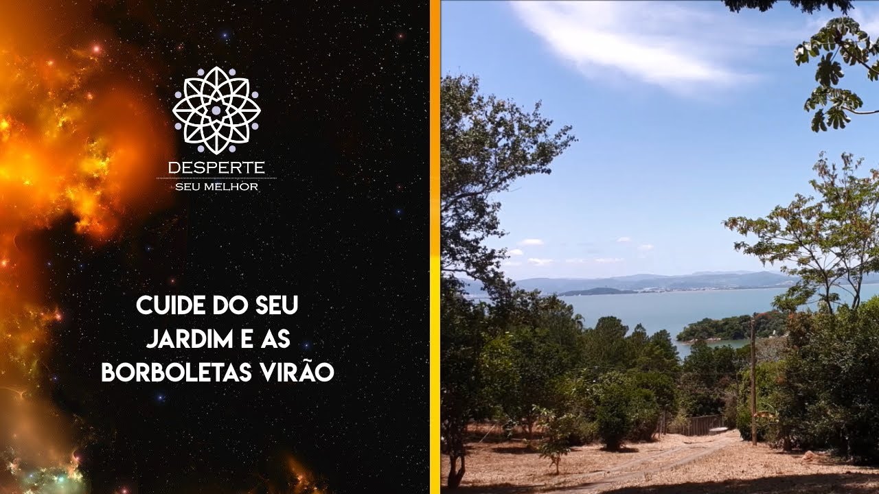 Cuide Do Seu Jardim Que As Borboletas Virão