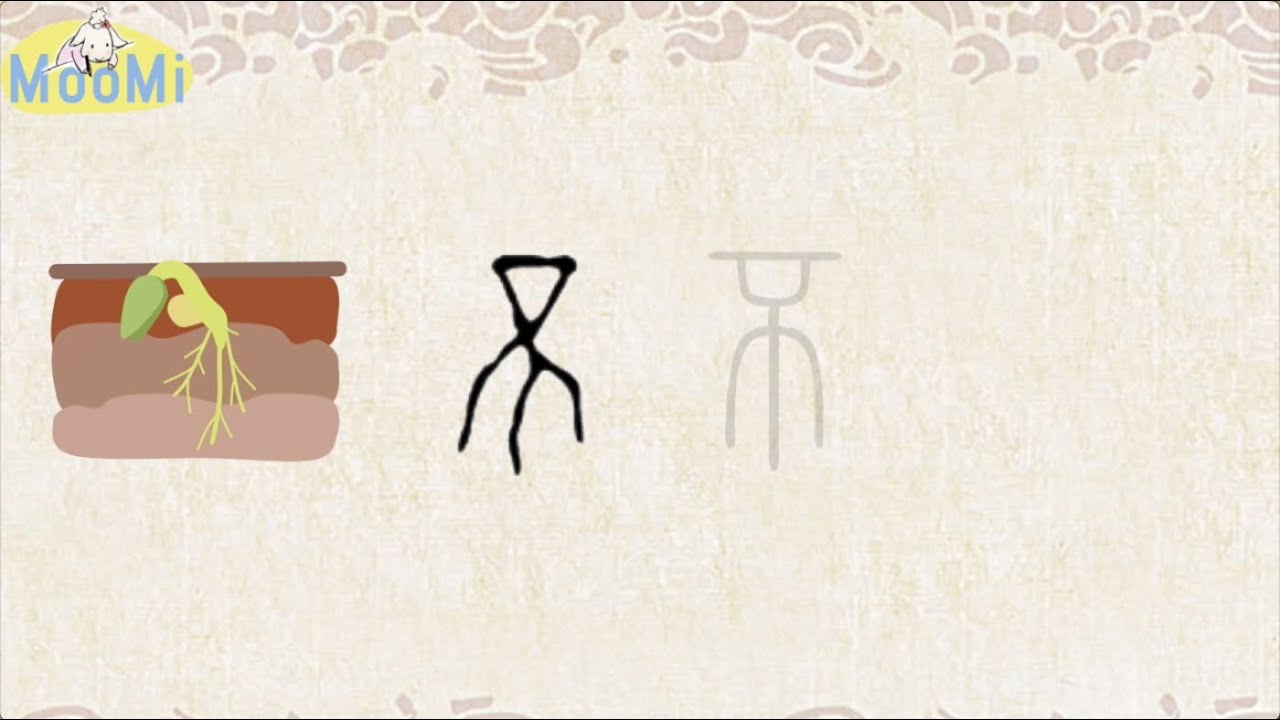 Chinese Character Evolution and Strokes汉字演变+笔画 |不bu / no, not - YouTube
