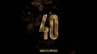soltero grupo niche