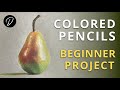 Coloured pencils  lesson  project for beginners