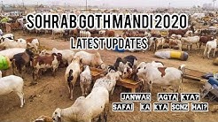 Sohrab Goth Cow Mandi Latest Update 3rd June 2020