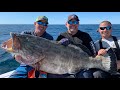 *MONSTER* BLACK GROUPER Catch Clean & Cook