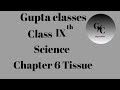 Gupta classes class 9 science biology chapter1 Tissue