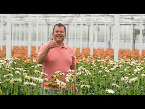 video Wie funktioniert das?