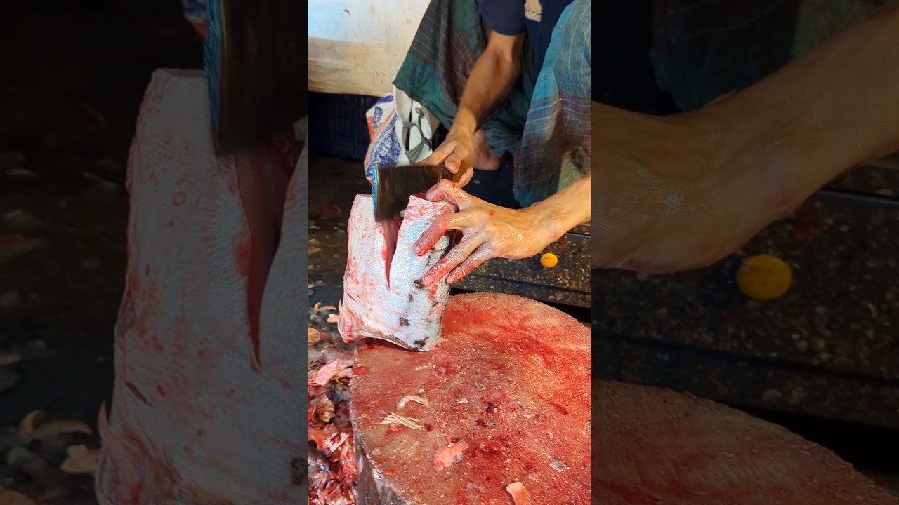 Amazing Fast Silver Carp Fish Cutting Skills In Bangladesh Fish Market By Expert Cutter 