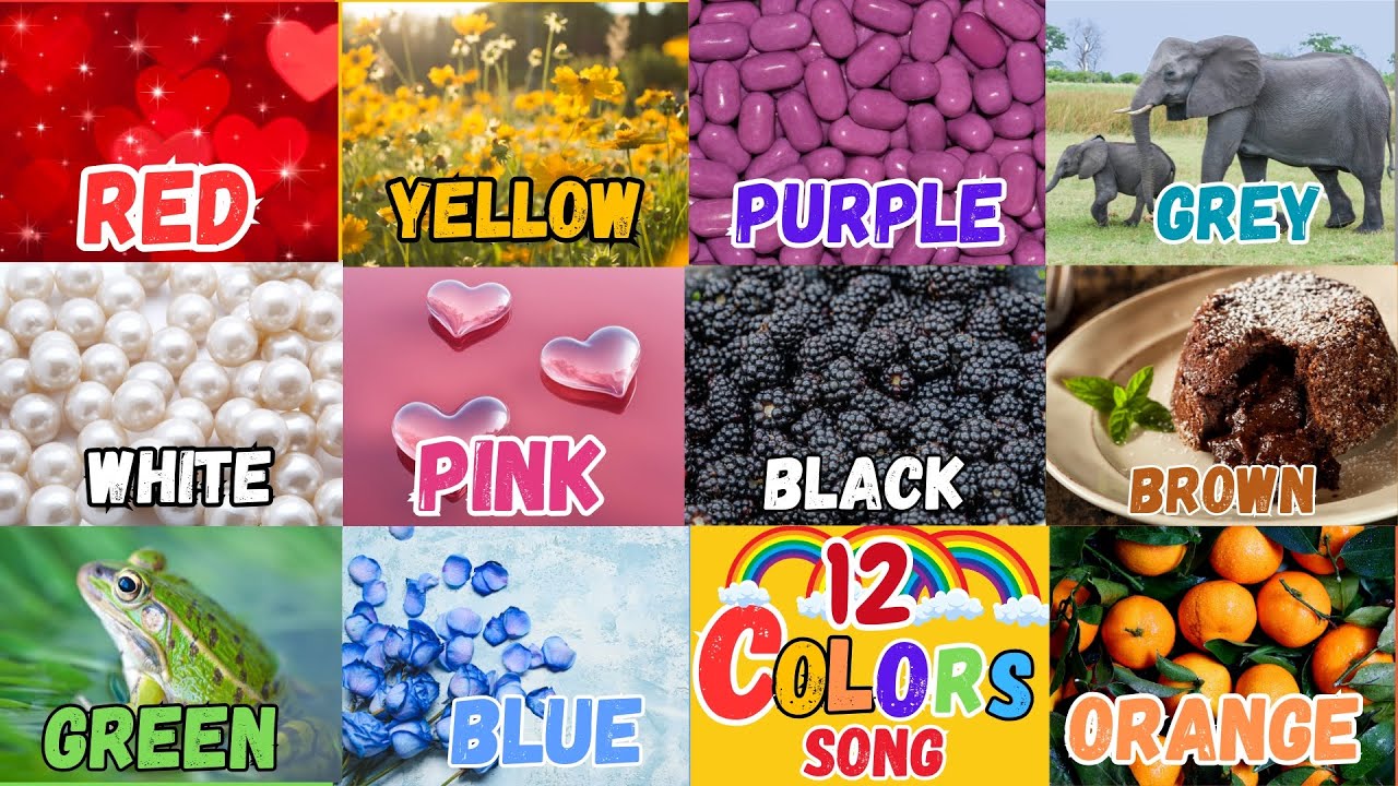 The Colors Song | Learn the Colours | Nursery Rhymes For Kids | LEARN ...