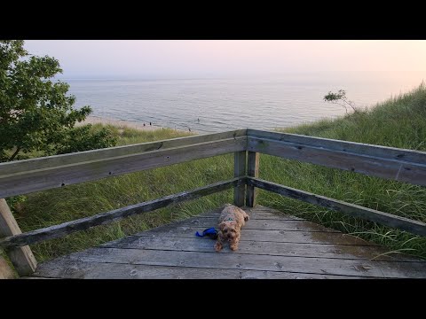 VanLife On Lake