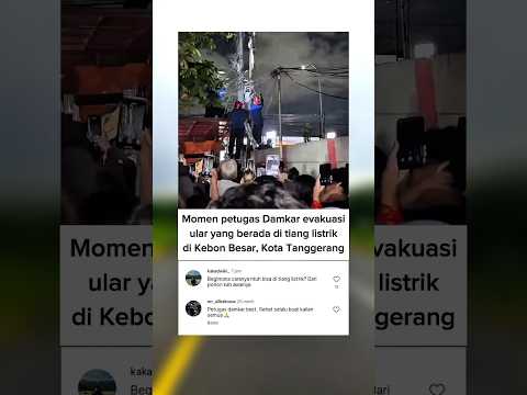 waaa besar banget🫣