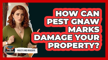 How Can Pest Gnaw Marks Damage Your Property? - Insects and Invaders
