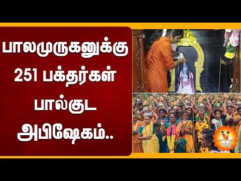 பாலமுருகனுக்கு 251 பக்தர்கள் பால்குட அபிஷேகம்