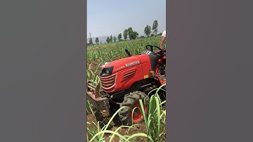 Inter Cultivation of Sugarcane using Rotavator