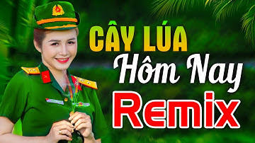 HÁT VỀ CÂY LÚA HÔM NAY REMIX - LK Nhạc Đỏ Cách Mạng Kháng Chiến Remix Bass Căng Bốc Lửa