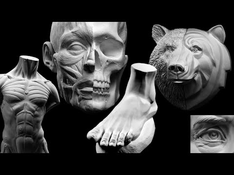 Sculpting 3D Art Reference Models