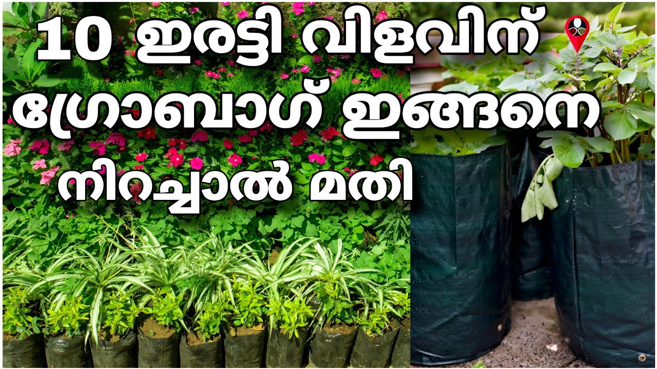 Growbag preparation in malayalam Grow bag engane undakkam grow bag