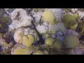 Diving in Bermuda