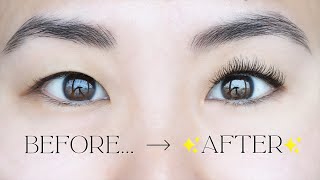 HOW TO CURL STRAIGHT ASIAN LASHES   This technique lasts ALL DAY