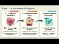 Maîtrise Hémorragie Digestive 355