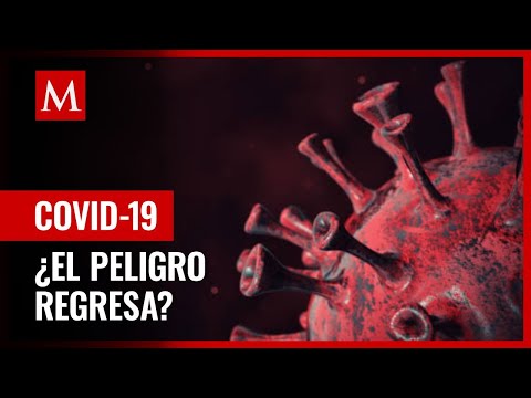 Video: Nueva variante de coronavirus. Se creó a partir de las subopciones BA.1 y BA.2