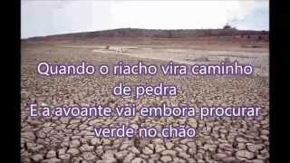paulinho natureza canta avoante de accioly neto mastruz com leite flávio josé luiz gonzaga