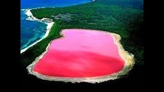 Загадочное розовое озеро Хиллер в Австралии