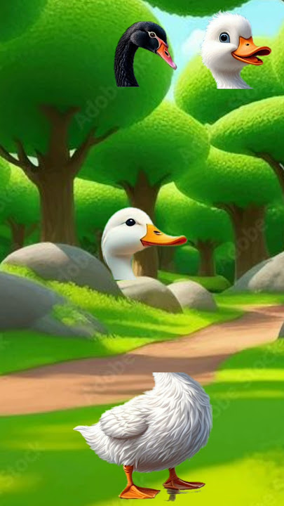 assala walekum walekum salam🥰#shortsfeed #vfx #terrnding  #cartoon  #animals  #ytshort  #shorts