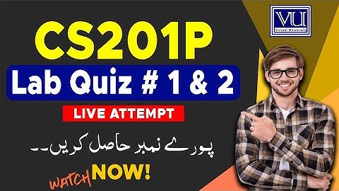 CS201p Lab Quiz 1 & 2 Solution 2023 - Live Attempt by The Merciful Academy