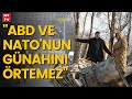 Dr. Naim Babüroğlu: "Rus işgali uluslararası hukuka aykırı fakat ABD-NATO'nun günahlarını örtemez"