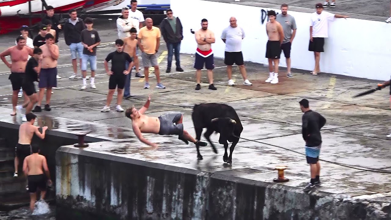 Tourada Porto Judeu - Touros ER (376,439,416,451) - 30/6/2025 - Ilha Terceira - Açores - Portugal