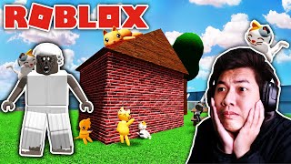 ช่วยคุณยายตามหาแมว! (Roblox)