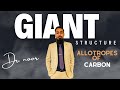 Giant Structure | Allotropes of Carbon | Important for  Exam | Chemistry 5070
