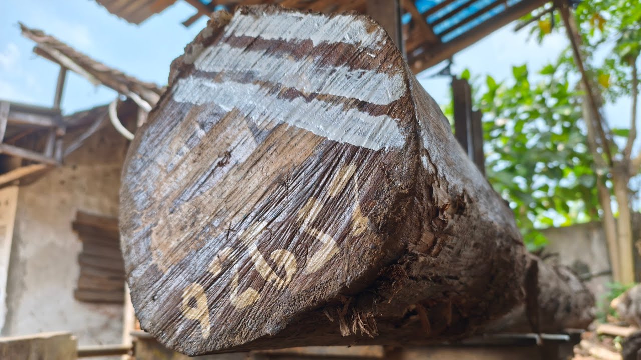 Satisfying Sawmill Cuts a Massive Teak Log | Incredible Woodworking ...