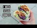 A Week of Vegan Dinners!