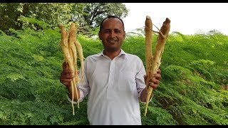 Sohanjna Ki Mooli Ka Achar | Moringa Pickle Recipe by Mubashir Saddique | Village Food Secrets