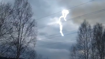Electrical Shocks Will Not Be Merciful To_Any Animal