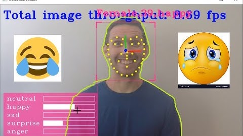 4. Face, Emotions detection, Age/Gender, Facial Landmarks, Head Position Detection |OpenVino Windows