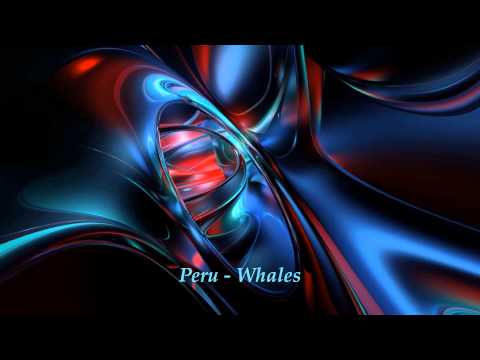 Peru — Peru - Whales