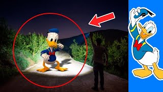 Pato Donald Captados En Cámara