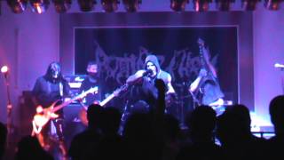 Disolvo Animus live