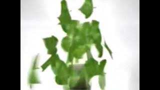 Download lagu TVC Woods' Herbal