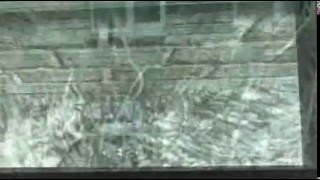 CoD4 :: BuNNiiEzZ :: Levitation :: Glitching Montage