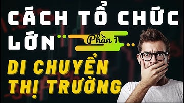 ✅ Cách CÁ MẬP Và TAY TO (Big Boys) Di Chuyển Thị Trường - Phần 1 | TraderViet